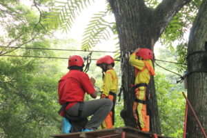 flyingfox-outbound-tk