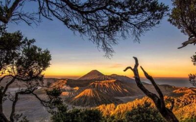 Outbound dan Corporate Gathering di Bromo yang Bikin Tim Lebih Solid
